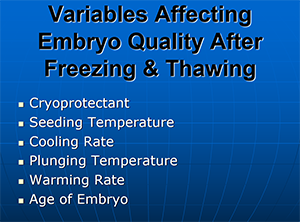 Variables Affecting Embryo Quality After Freezing and Thawing