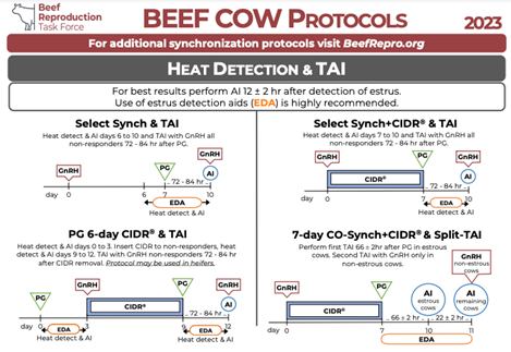 Beef Cow Protocols Beef Cow Protocols