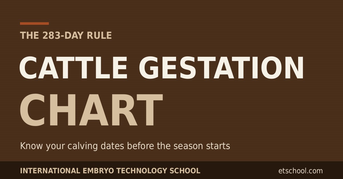Cattle gestation chart - know your calving dates with the 283-day rule