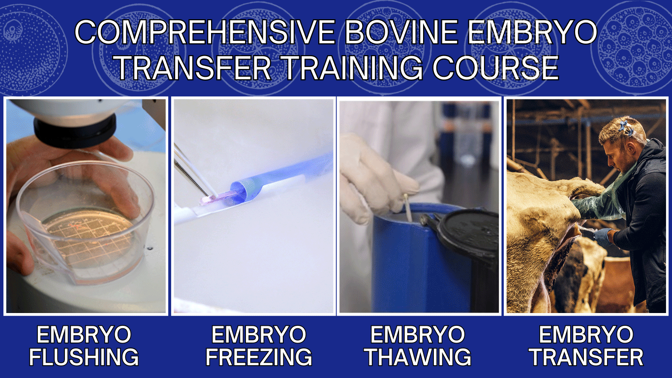 Comprehensive Bovine Embryo Transfer Training Course Comprehensive Bovine Embryo Transfer Training Course