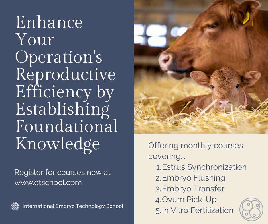 Enhance Your Operations Reproductive Efficiency Enhance Your Operations Reproductive Efficiency