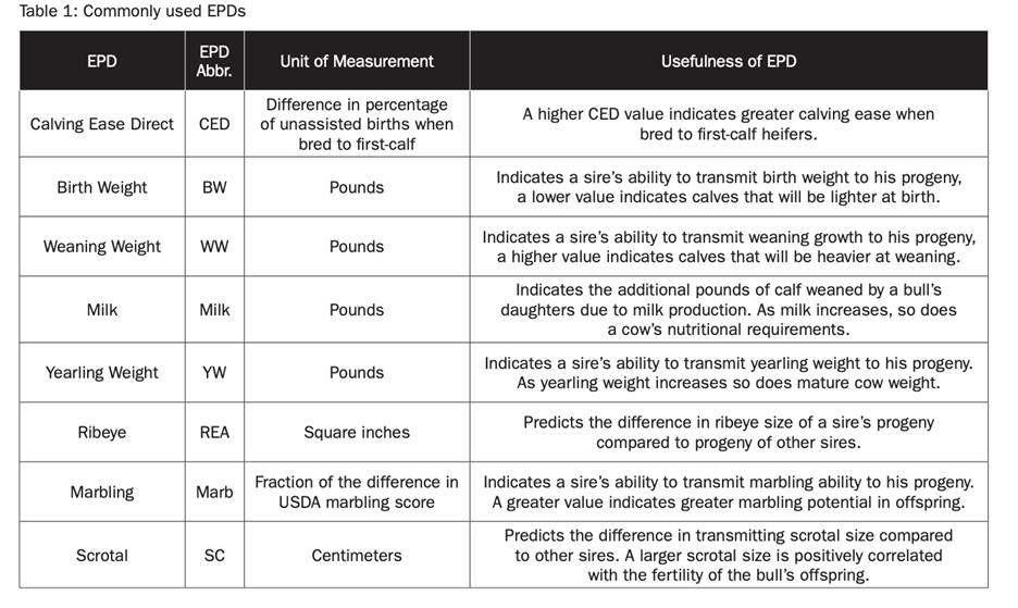 Improving the Genetics of Your Cattle Herd Using Expected Progeny Differences (EPDs)