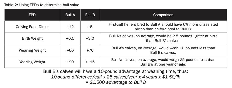 Improving the Genetics of Your Cattle Herd Using Expected Progeny Differences (EPDs)