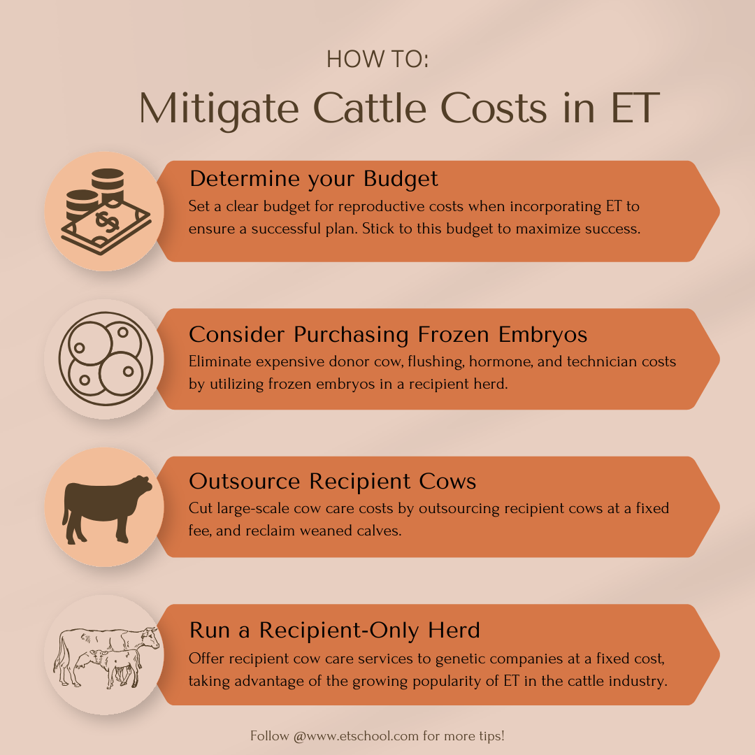 How To Mitigate Cattle Costs in Embryo Transfer How To Mitigate Cattle Costs in Embryo Transfer