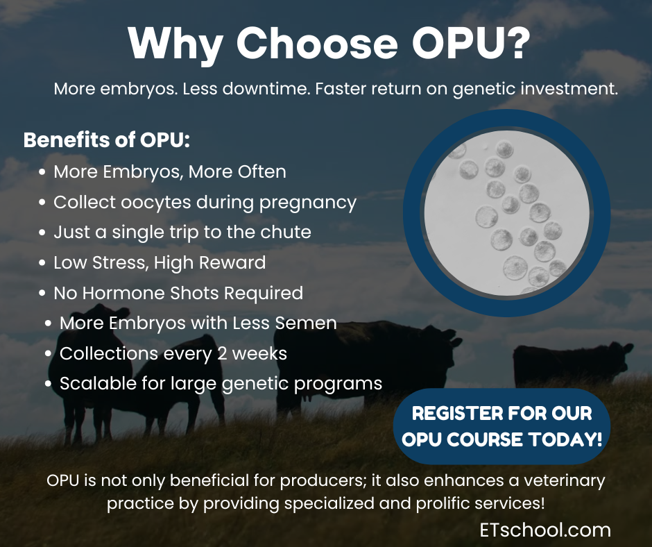 Benefits of Using Ovum Pick-Up (OPU)