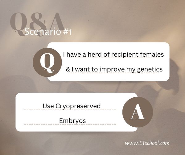 Requirements For Females Used In Bovine Embryo Transfer Protocols Requirements For Females Used In Bovine Embryo Transfer Protocols