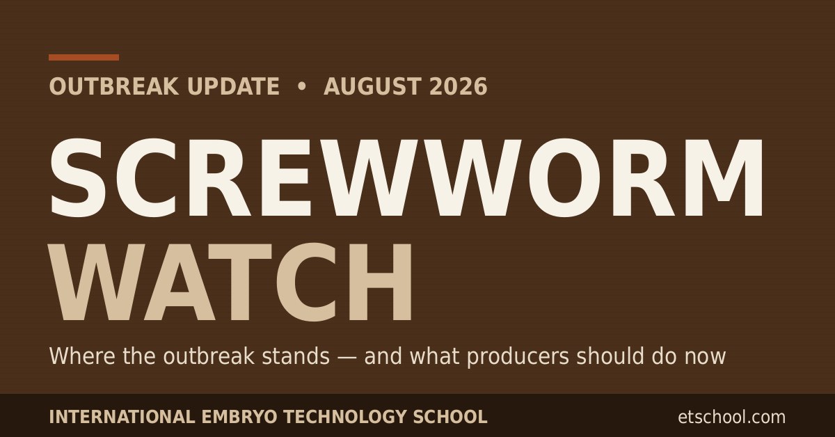 New World screwworm outbreak update for U.S. cattle producers - August 2026