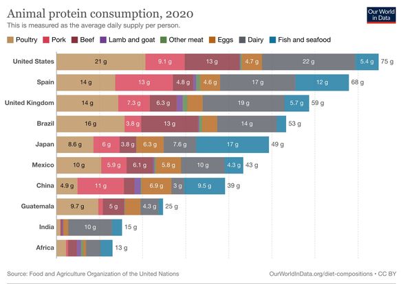 Animal Protein Consumption 2020