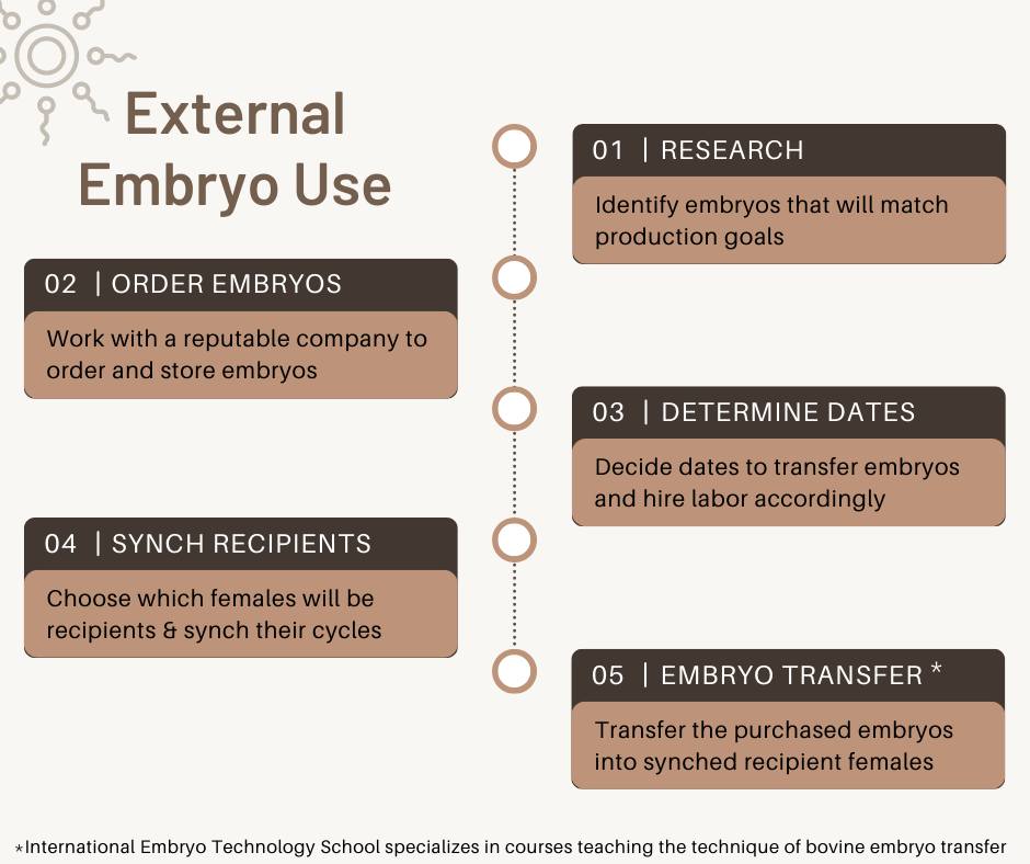 Purchasing Commercial Embryos Through a Company and Transferring the Embryos, With Outside Genetics, Into the Herd Females Purchasing Commercial Embryos Through a Company and Transferring the Embryos, With Outside Genetics, Into the Herd Females