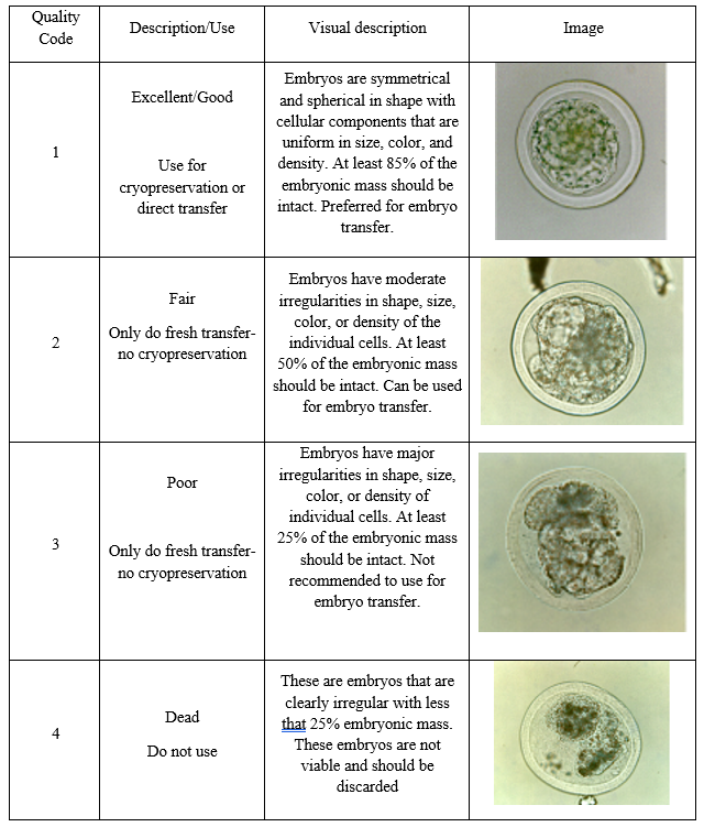 embryo quality codes